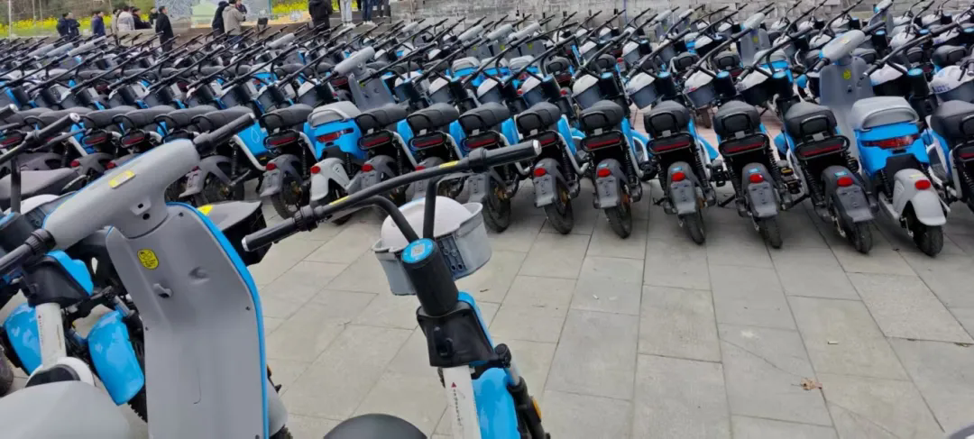 Shared E-Bike